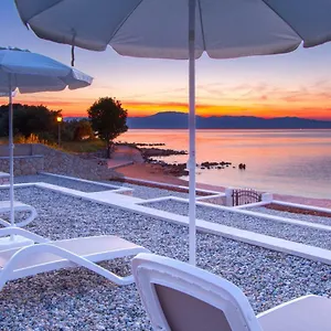  Villa Luxury Matea 1